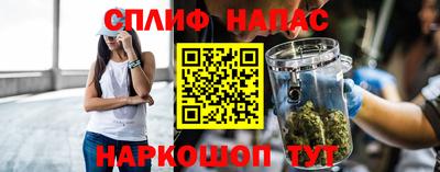 бошки Шелехов